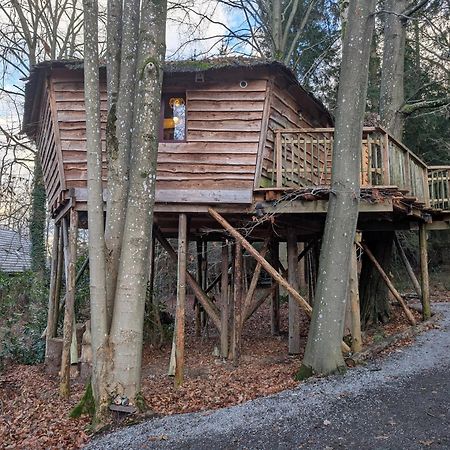 B&B La Cabane Du Bois Dormant Spa Exterior foto